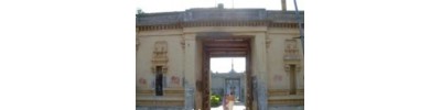 229. திருத்துறையூர்